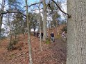 2016-04-07 10-13-38 Rando Poigny la Foret DLe